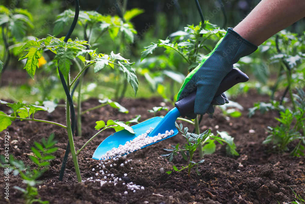 Agricultural fertilizers